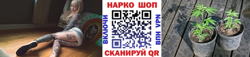 Купить наркотики сайты Закаменск COCAIN  A-PVP  Гашиш 